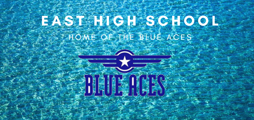 BLUE ACE SWIMMING