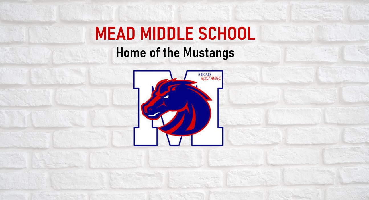 MUSTANGS VOLLEYBALL