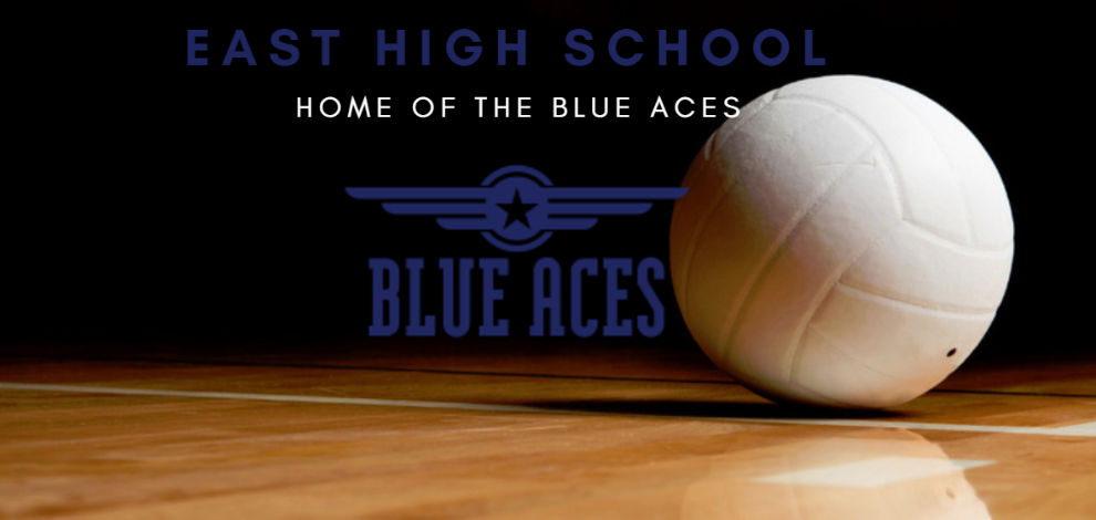 BLUE ACE VOLLEYBALL 