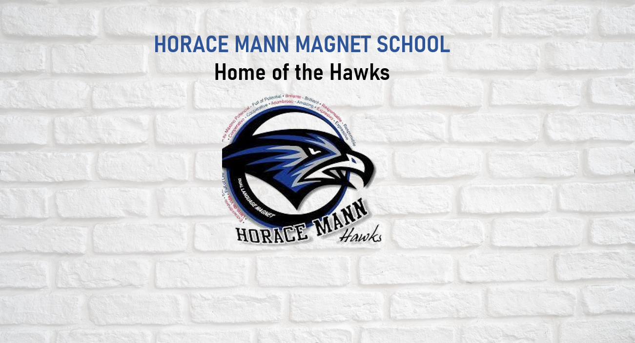 HAWKS VOLLEYBALL