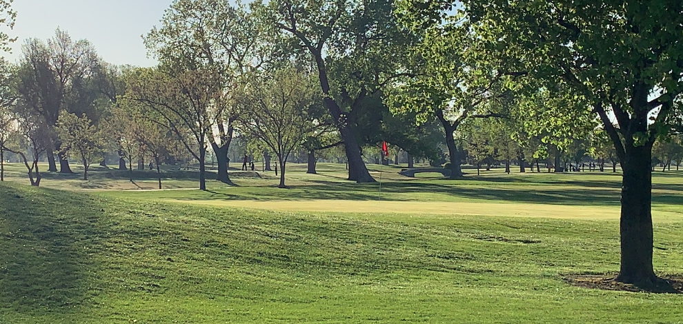 FALCON GOLF